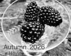 Autumn 2026