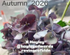Autumn 2026