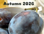 Autumn 2026