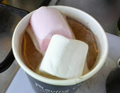 Hot Chocolate & Marshmallows