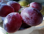 Red Grapes