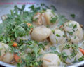 Scallops with an anchovy & herb sauce