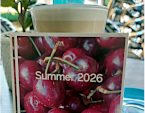 Summer 2026